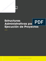 estructuras administrativas para la  ejecucion de  proyectos.pdf