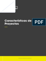 caracteristicas  de los  proyectos.pdf
