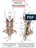 Clasif Imagenológica Niveles de Cuello