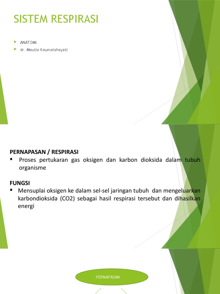 Sistem Respirasi | PDF