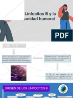 Los Linfocitos B y La Inmunidad Humoral PDF