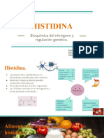 HISTIDINA