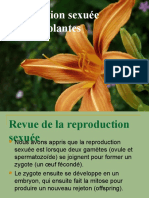 06 - Sex in Plants