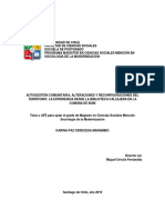 Autogestión Comunitaria, Alteraciones y Reconfiguraciónes Del Territorio TESIS 2019