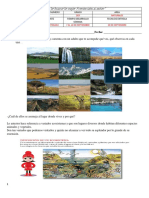 Naturales-203-tercer periodo-PDF