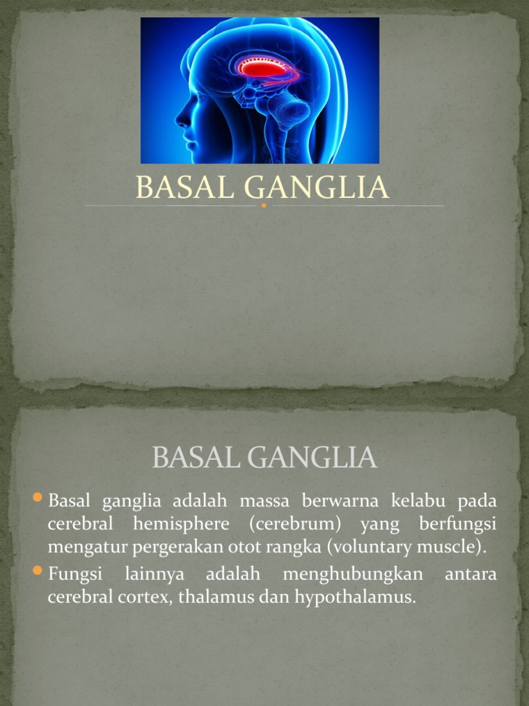 Ganglia Basalis | PDF