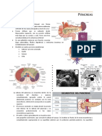 Ecografía Del Páncreas