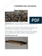 Morfologi Dan Klasifikasi Ikan Lele