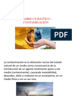 Contaminacion Ambiental