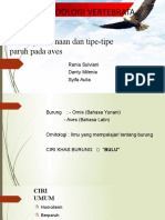 Kelompok - 6 - Proses - Pencernaan - Dan - Tipe - Paruh - Aves Rev