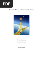 Ebook Conceitos Básicos de Sensoriamento Remoto