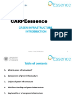 Carpeessence: Green Infrastructure
