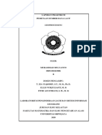 Makalah Geoprocessing