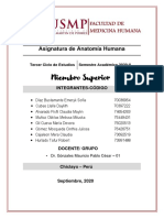 Informe  1  Anatomía Práctico.pdf