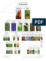 Natural World Chart