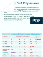 Eukaryotic DNA Polymerases