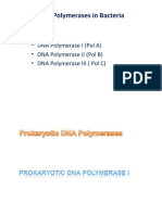 VKM PPT Prokaryotic DNA Polymerases I
