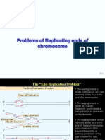 Vkmpptproblems of Replicating Ends of The Chromosomes