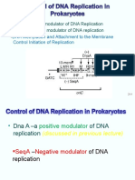 Control of DNA Replication in Prokaryotes
