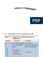 DNA Replication in Prokaryotes