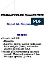 4.dracunculus Medinensis