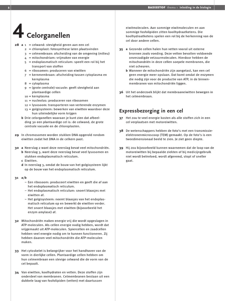 BVJ 4v Uwb T1 bs4 PDF