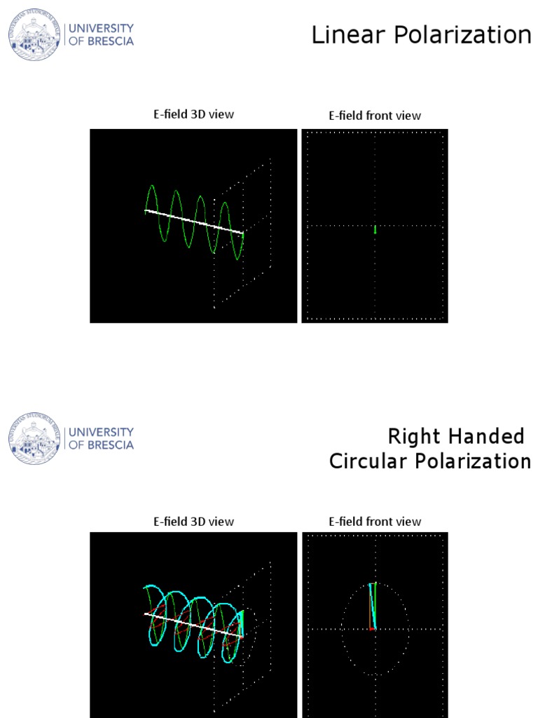Understanding Linear Polarization | PDF