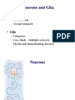 1b - Neurons and Glia-2009