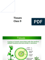Class 9 Tissues
