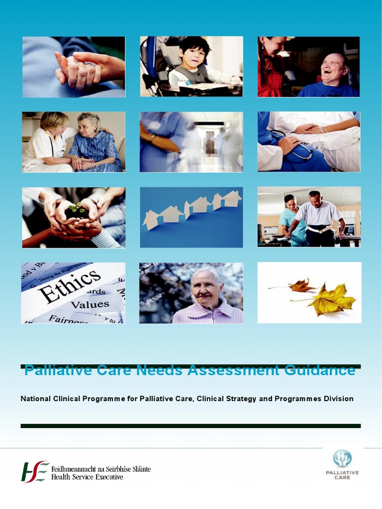 A Framework for Holistic Palliative Care: The Palliative Care Needs ...