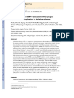 Astrocyte Mediated MMP-9 Activation in The Synapse Dysfunction An Implication in Alzheimer Disease