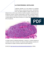 23-Paratiroides y Metabolismo Fosfo-Calcico