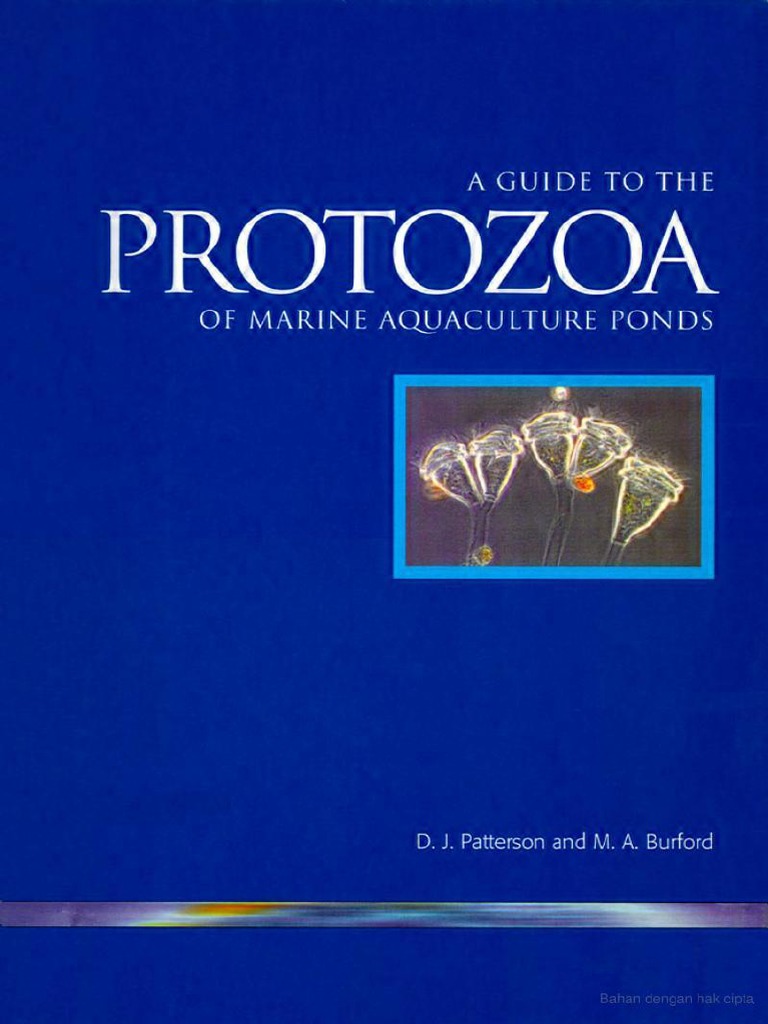 A Guide To The Protozoa of Marine Aquaculture Ponds | PDF