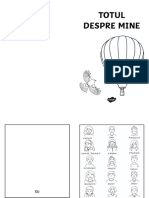 Totul Despre Mine PDF