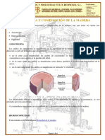 Estructura Y Composición de La Madera: Anisotropia