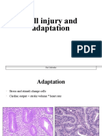 Cell Injury and Adaptation: Fort Salvador