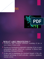 What are Proteins? The Building Blocks of Life