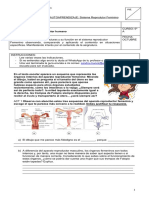 Guía de Trabajo de Ciencias Naturales 6° Básico