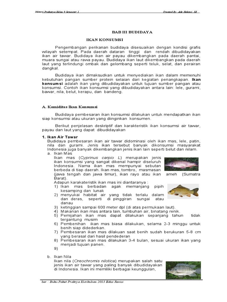 Bab Iii Budidaya Ikan Konsumsi Prakarya Kelas 9