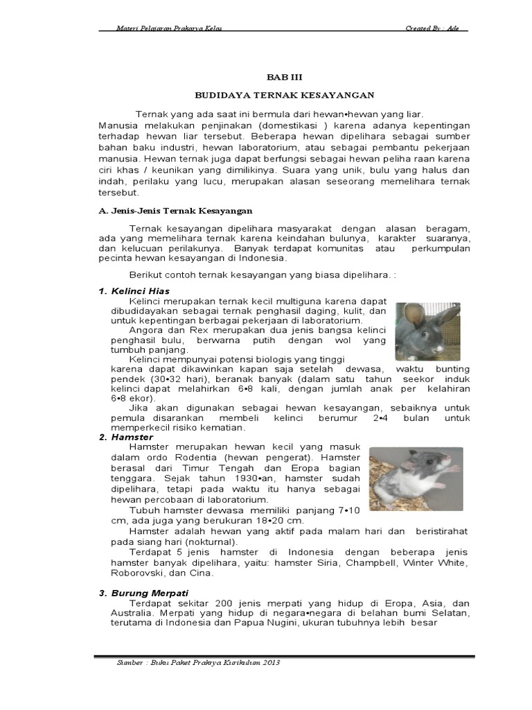 Bab Iii Prakarya Kelas 8 Budidaya Ternak Kesayangan