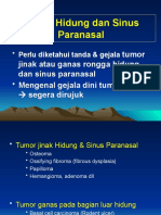 Hidung Dan Sinus Paranasal