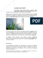 PANELES SOLARES DE PASTO.pdf