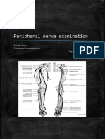 Peripheral Nerve Examination