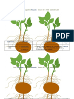 Planificación Virtual Del Mes de Septiembre de Naturales Primera Semana