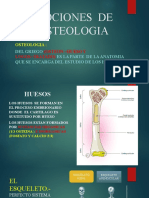 Nociones de Osteologia