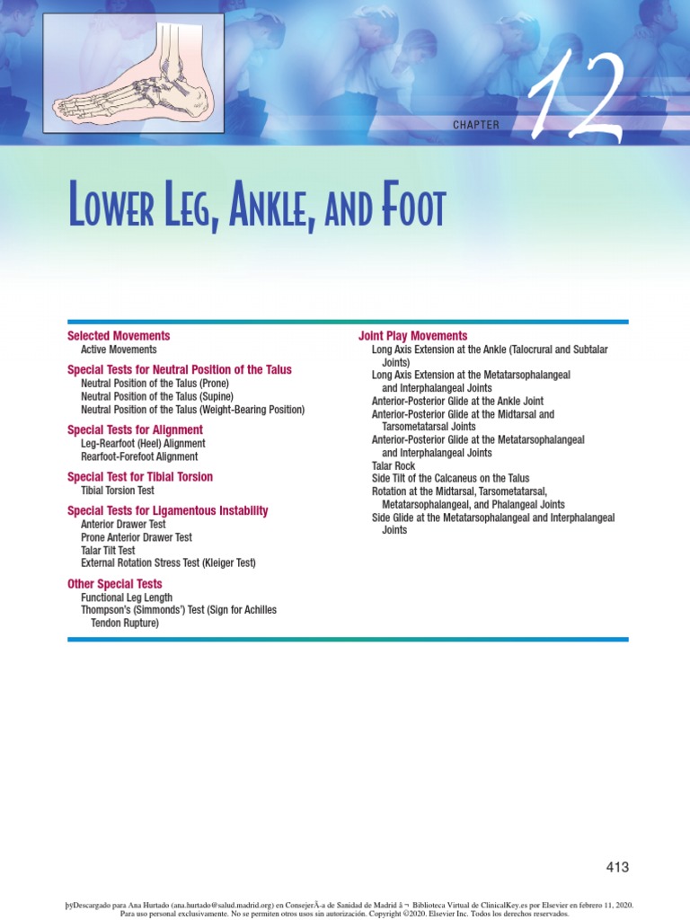 Ower EG Nkle AND OOT: L L, A, F | PDF | Anatomical Terms Of Motion | Foot