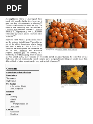 Pumpkin