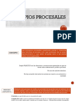 Principios Procesales