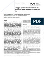 Rodriguez y Taleisnik 2004 PDF
