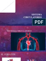 Exposiciones Edu Fisica 1